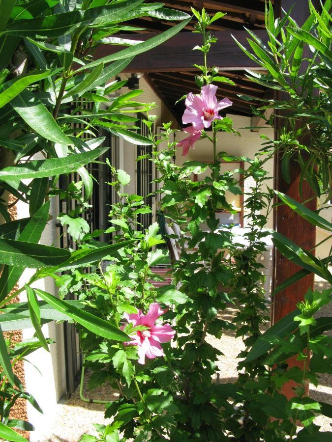 - Maison De Hébergement de vacances
